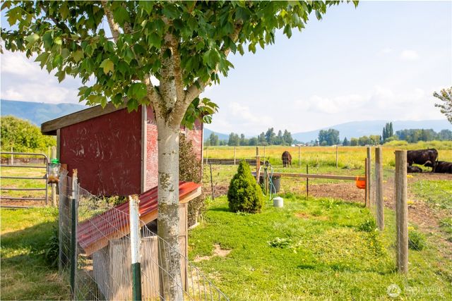 a view of a yard with an tree