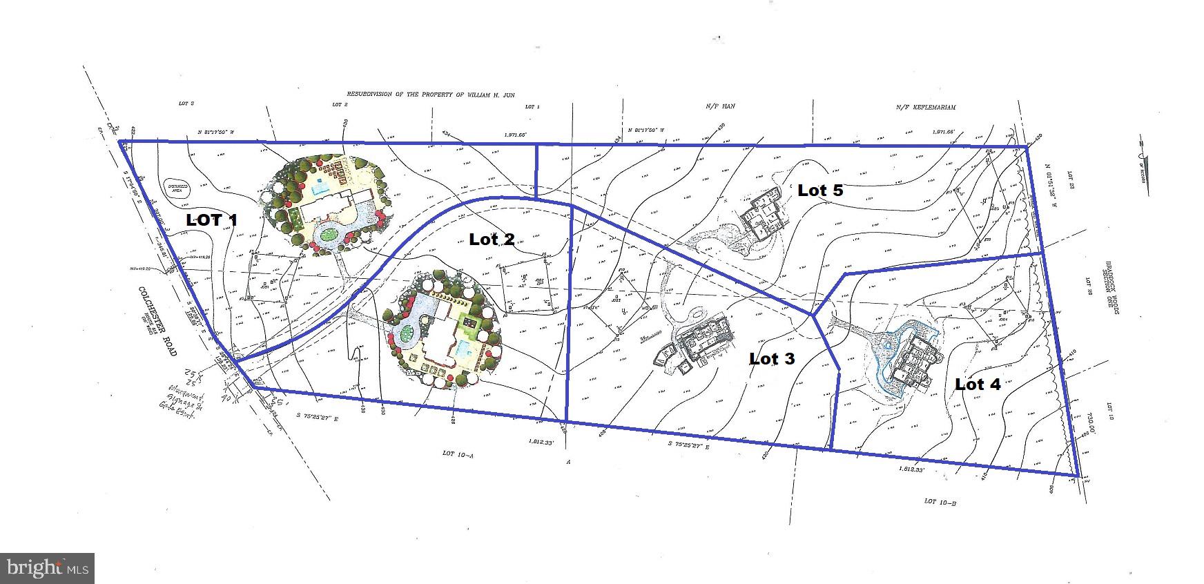 Illustrative House, Driveway and Lot Layout