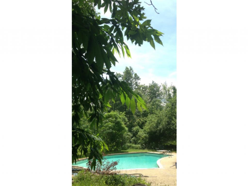 155 Morse Road Mason, NH 03048 - Photo 19 of 25