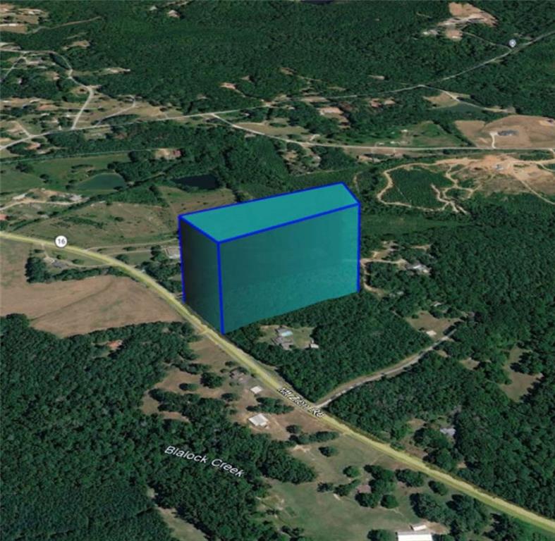 0 Mt Zion Road Waco, GA 30182 - Photo 4 of 7 a view of a garden with a yard