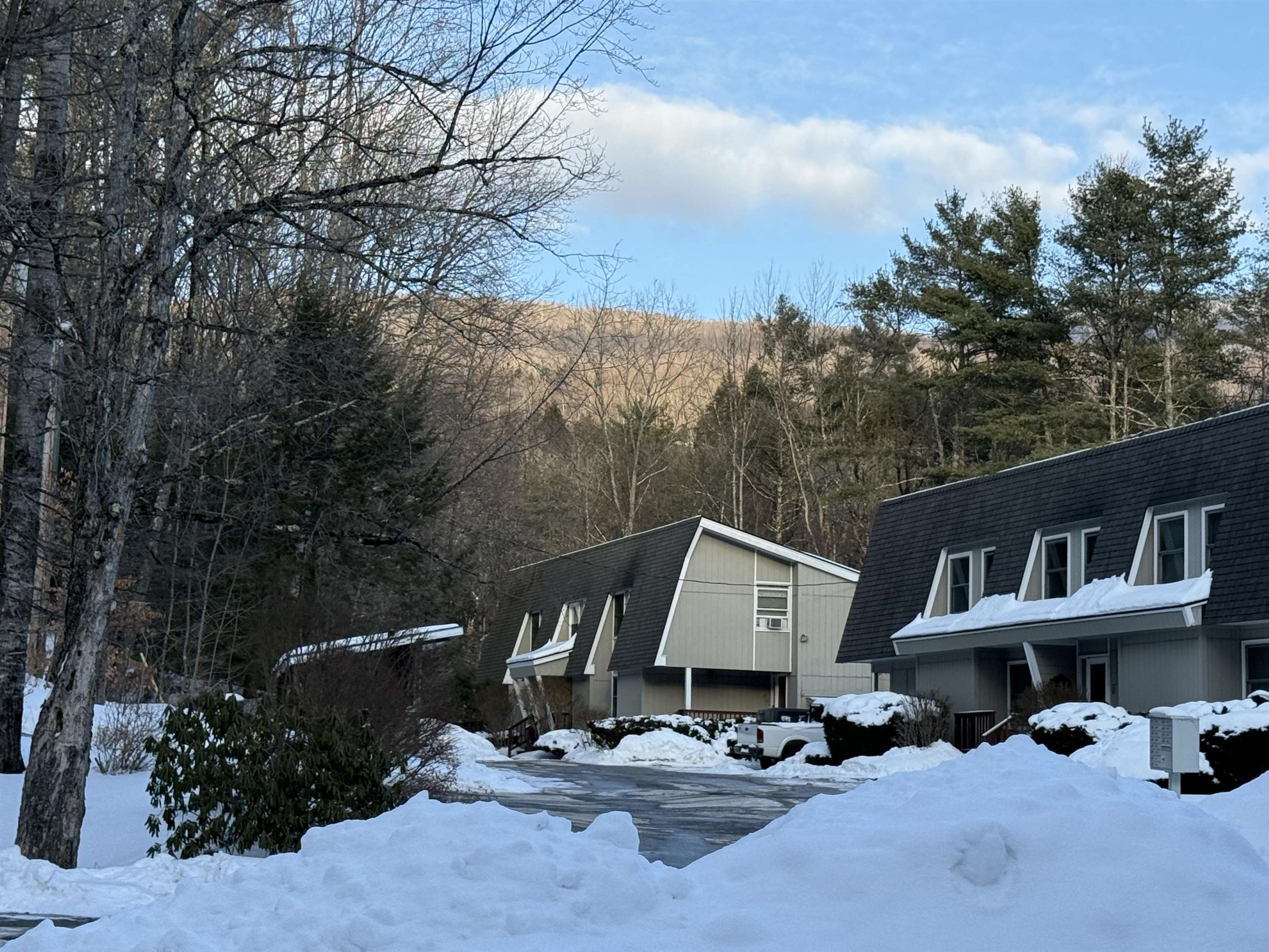 62 Silver Birch Place, Unit 3B Rutland Town, VT 05701 - Photo 2 of 34