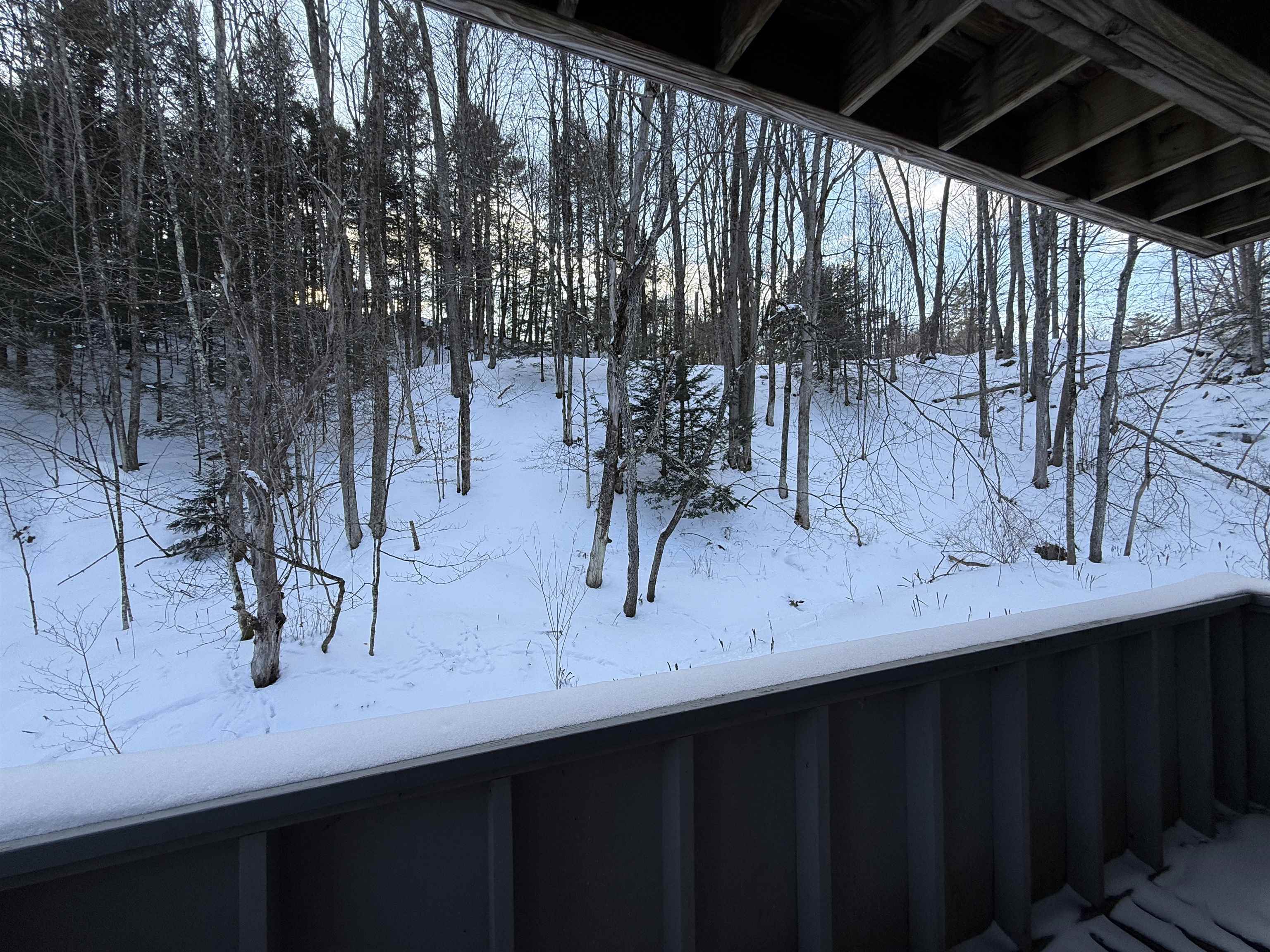 62 Silver Birch Place, Unit 3B Rutland Town, VT 05701 - Photo 22 of 34