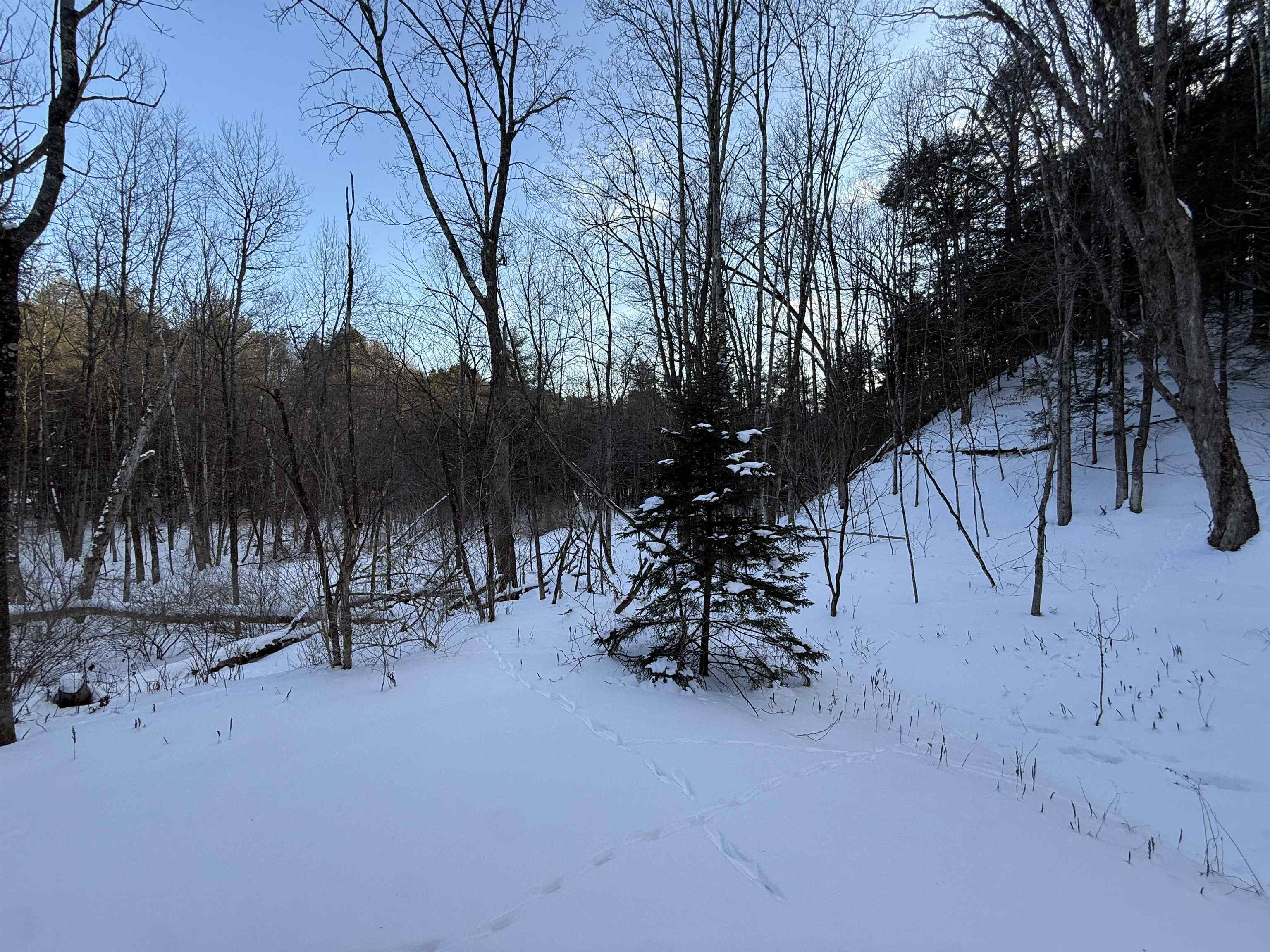 62 Silver Birch Place, Unit 3B Rutland Town, VT 05701 - Photo 23 of 34