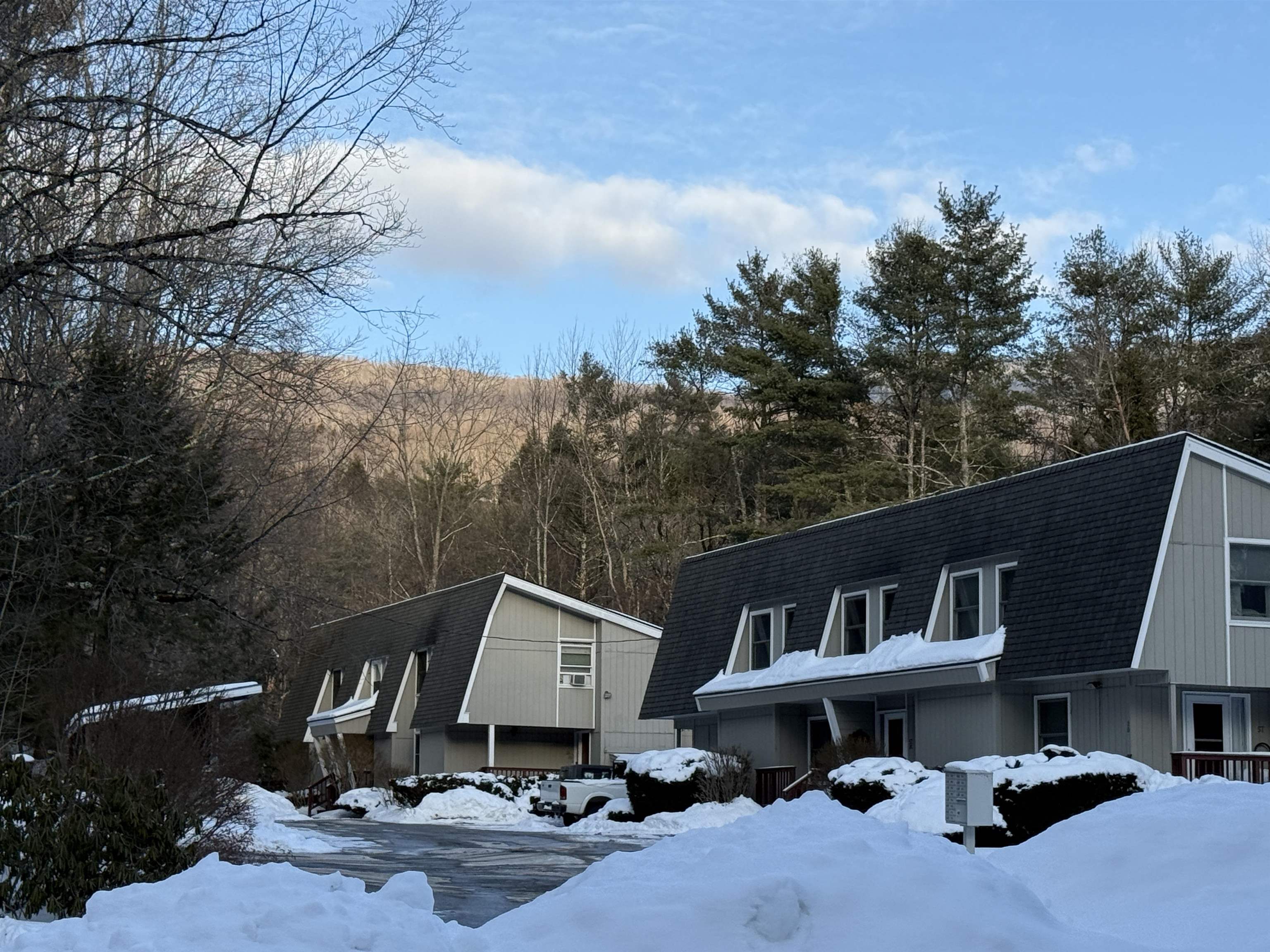 62 Silver Birch Place, Unit 3B Rutland Town, VT 05701 - Photo 3 of 34