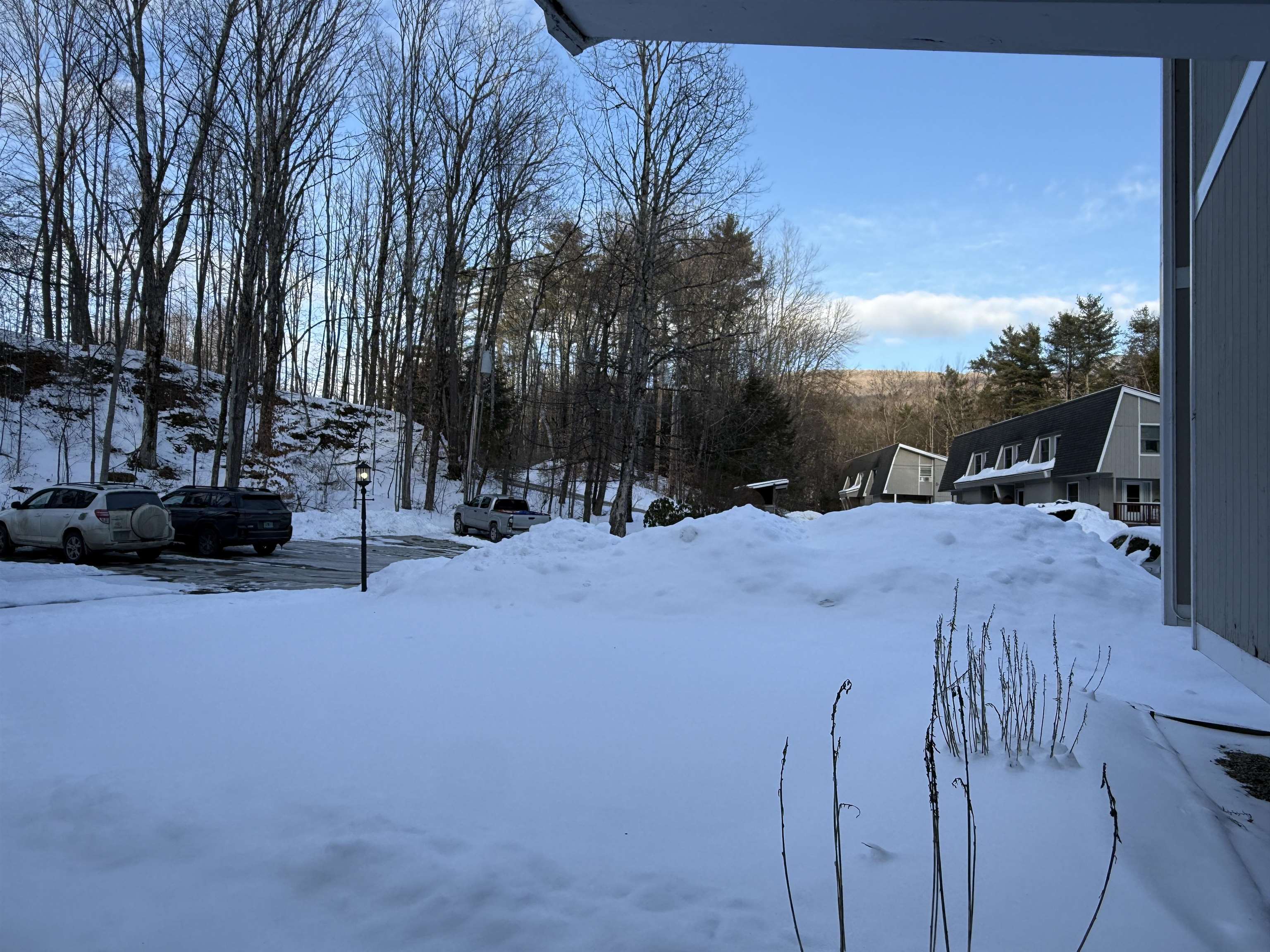 62 Silver Birch Place, Unit 3B Rutland Town, VT 05701 - Photo 4 of 34