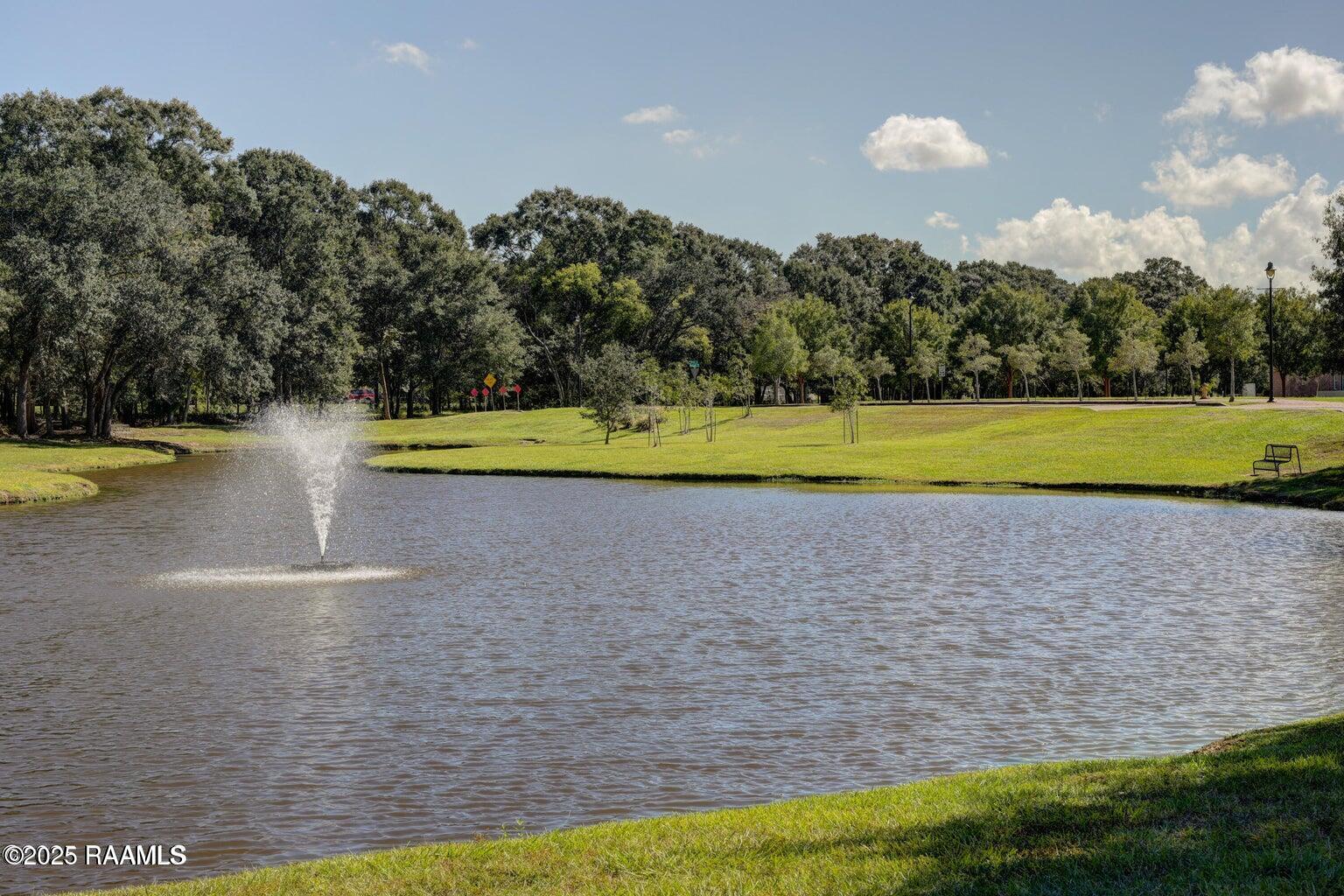 309 Founders Street Lafayette, LA 70508 - Photo 57 of 57 pond