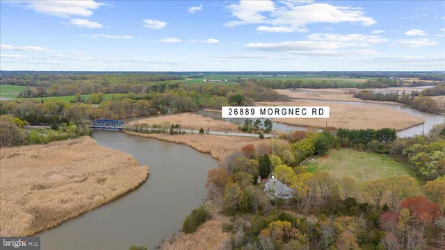 a view of a pathway with a lake