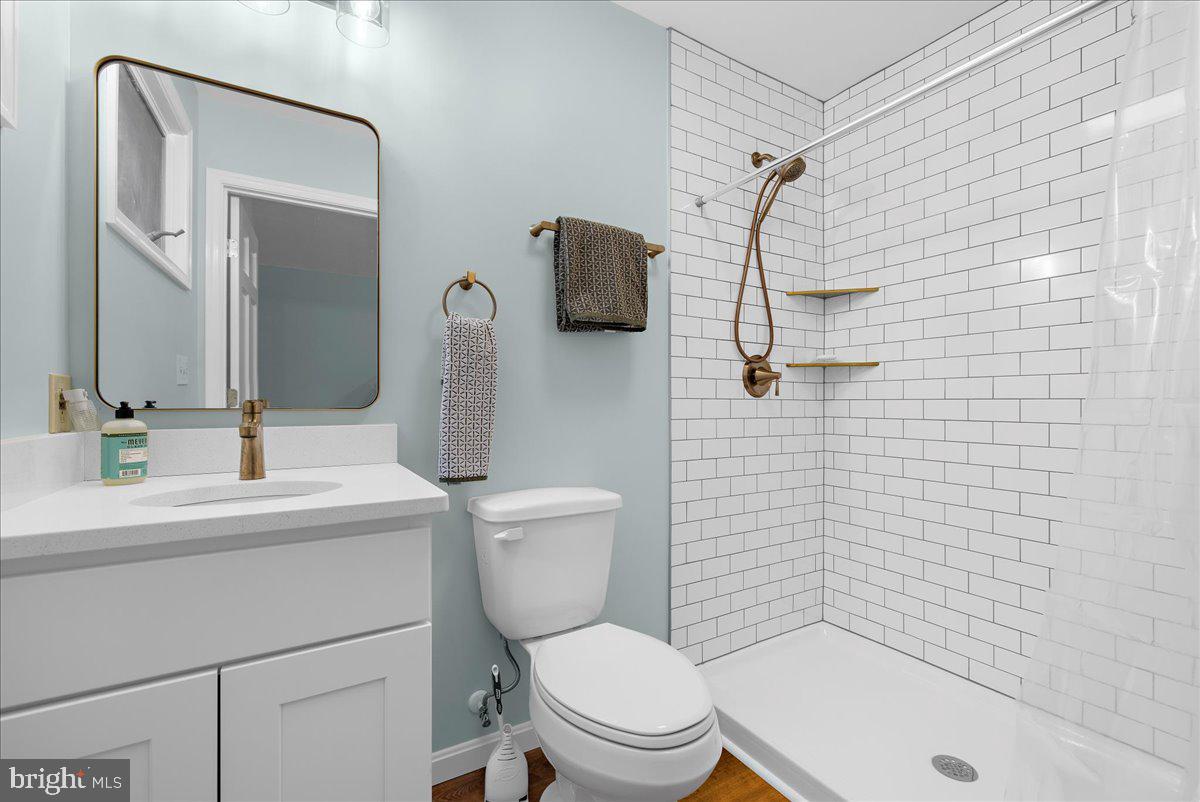26889 Morgnec Road Chestertown, MD 21620 - Photo 17 of 32 a bathroom with a sink a toilet and shower