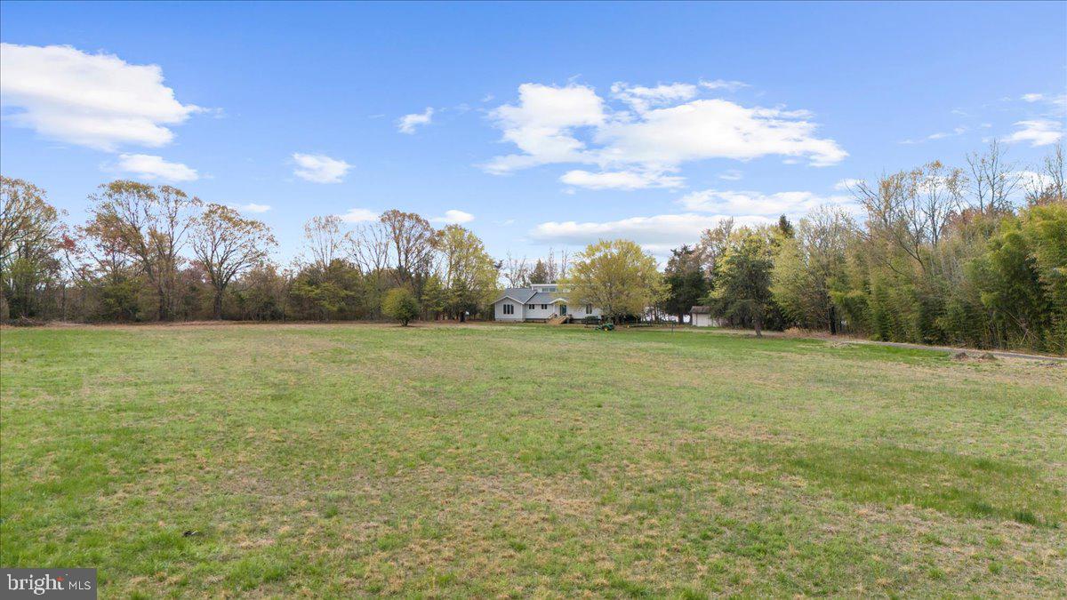 26889 Morgnec Road Chestertown, MD 21620 - Photo 32 of 32 a view of a field with trees