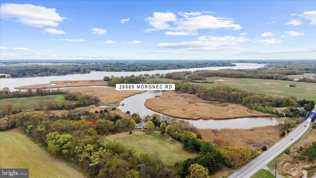 a view of a lake with a mountain