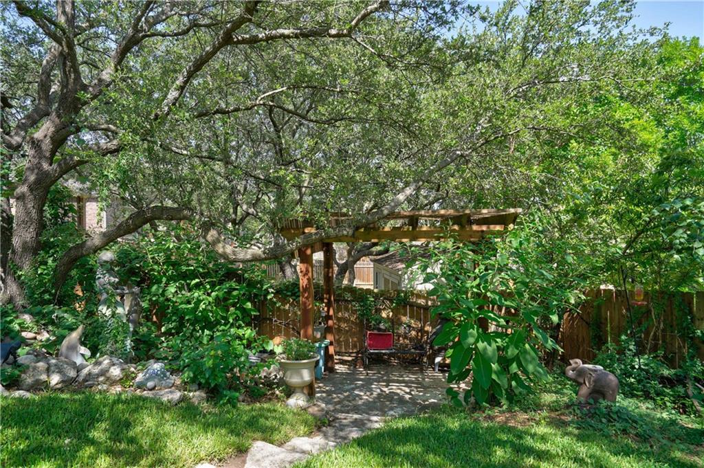 2513 Wanakah Ridge Drive Cedar Park, TX 78613 - Photo 34 of 34 a view of a tree in a backyard of a house