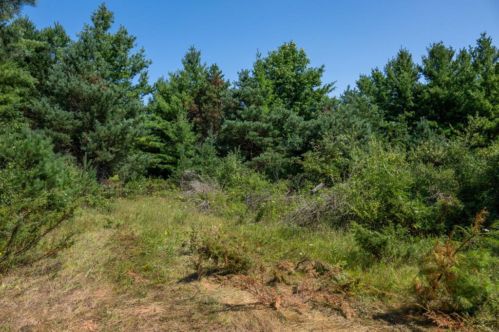 Lot 2 Scandia Road Sister Bay, WI 54234 - Photo 16 of 17