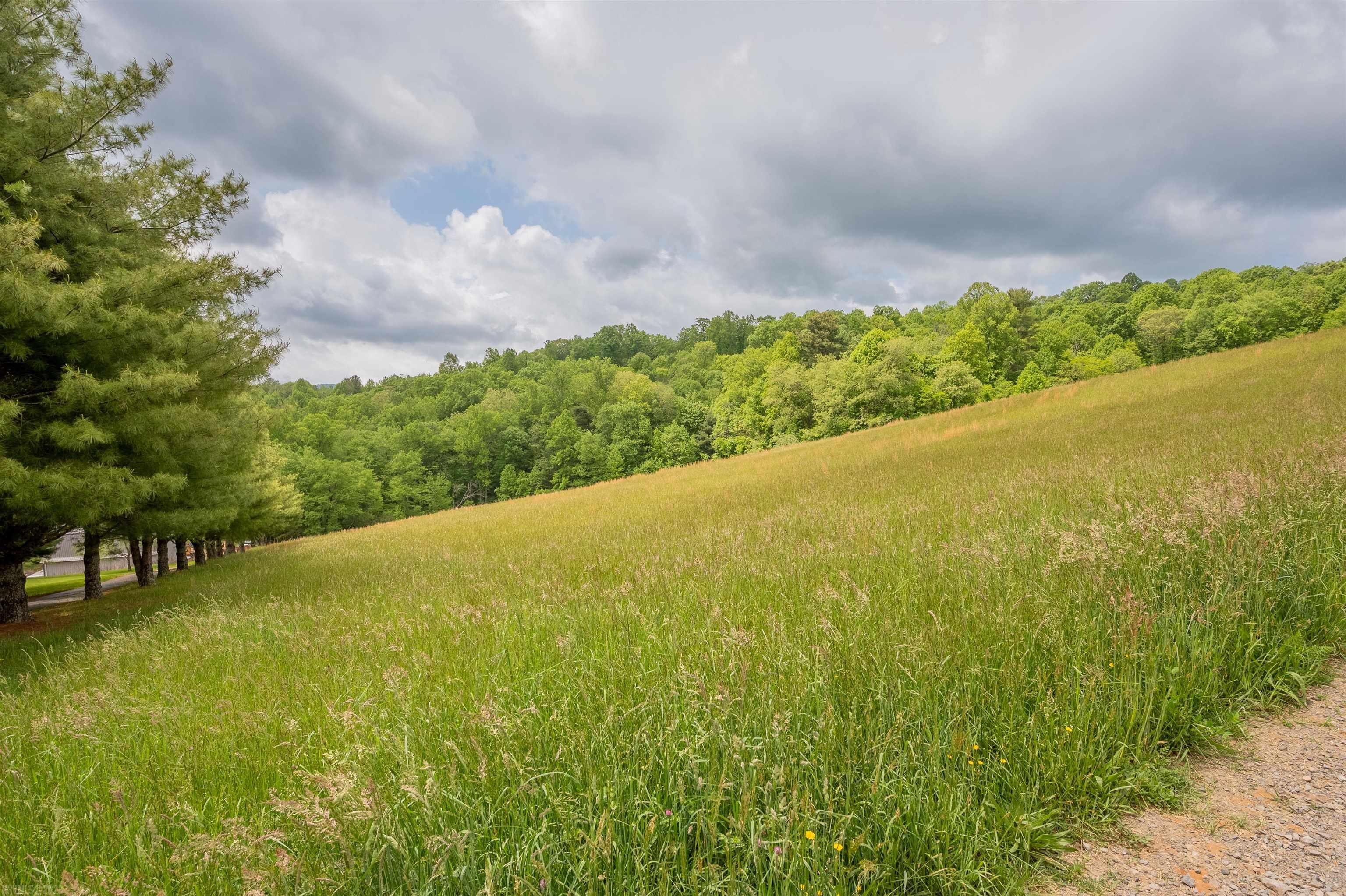 Tbd South Tbd S Whispering Ridge Road South Hillsville, VA 24343 - Photo 6 of 28 Gallery Image 6