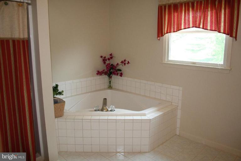 2313 Deer Park Road Finksburg, MD 21048 - Photo 10 of 18 Master Bath