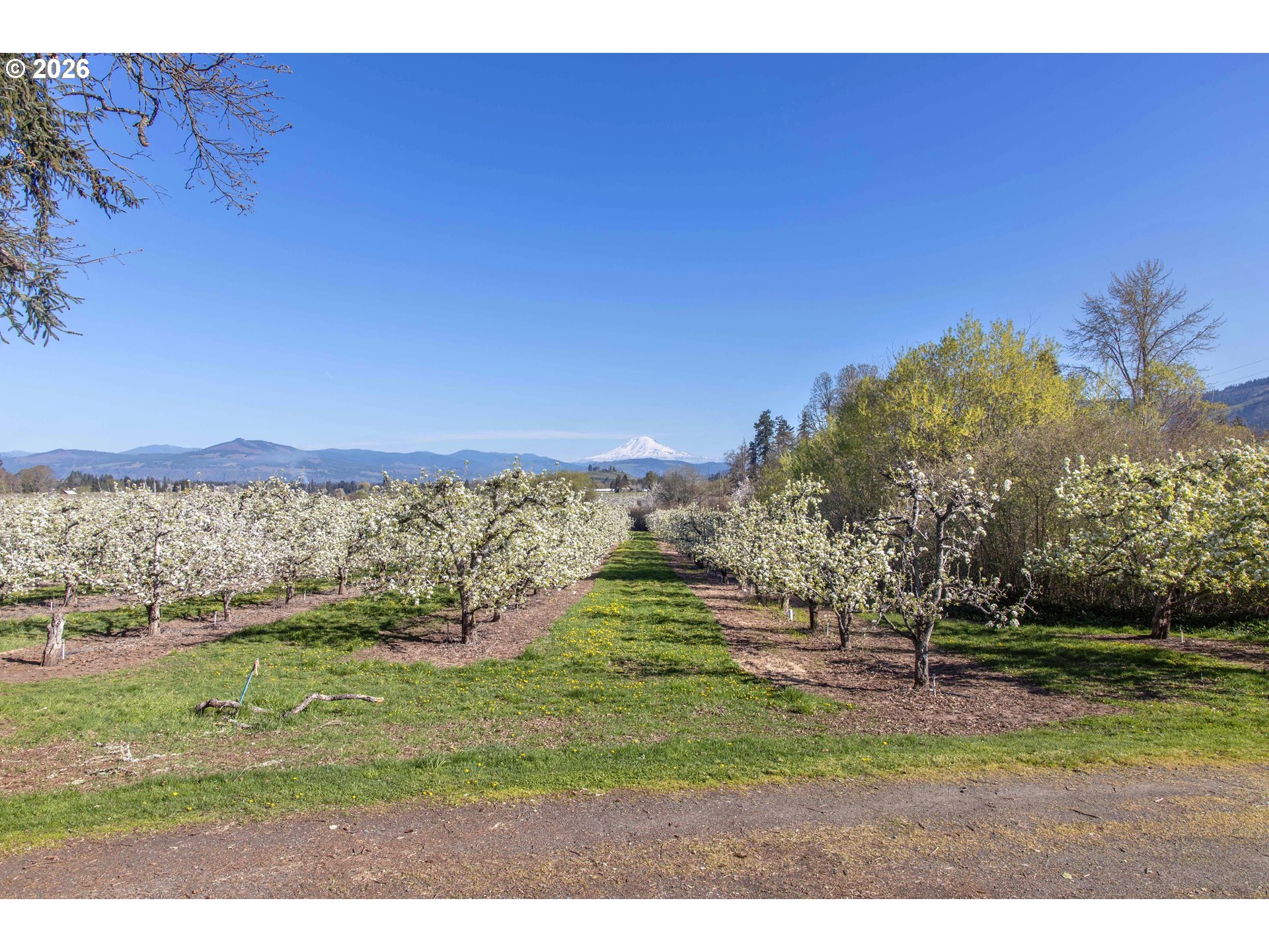 3316 Thomsen Road Hood River, OR 97031 - Photo 40 of 46