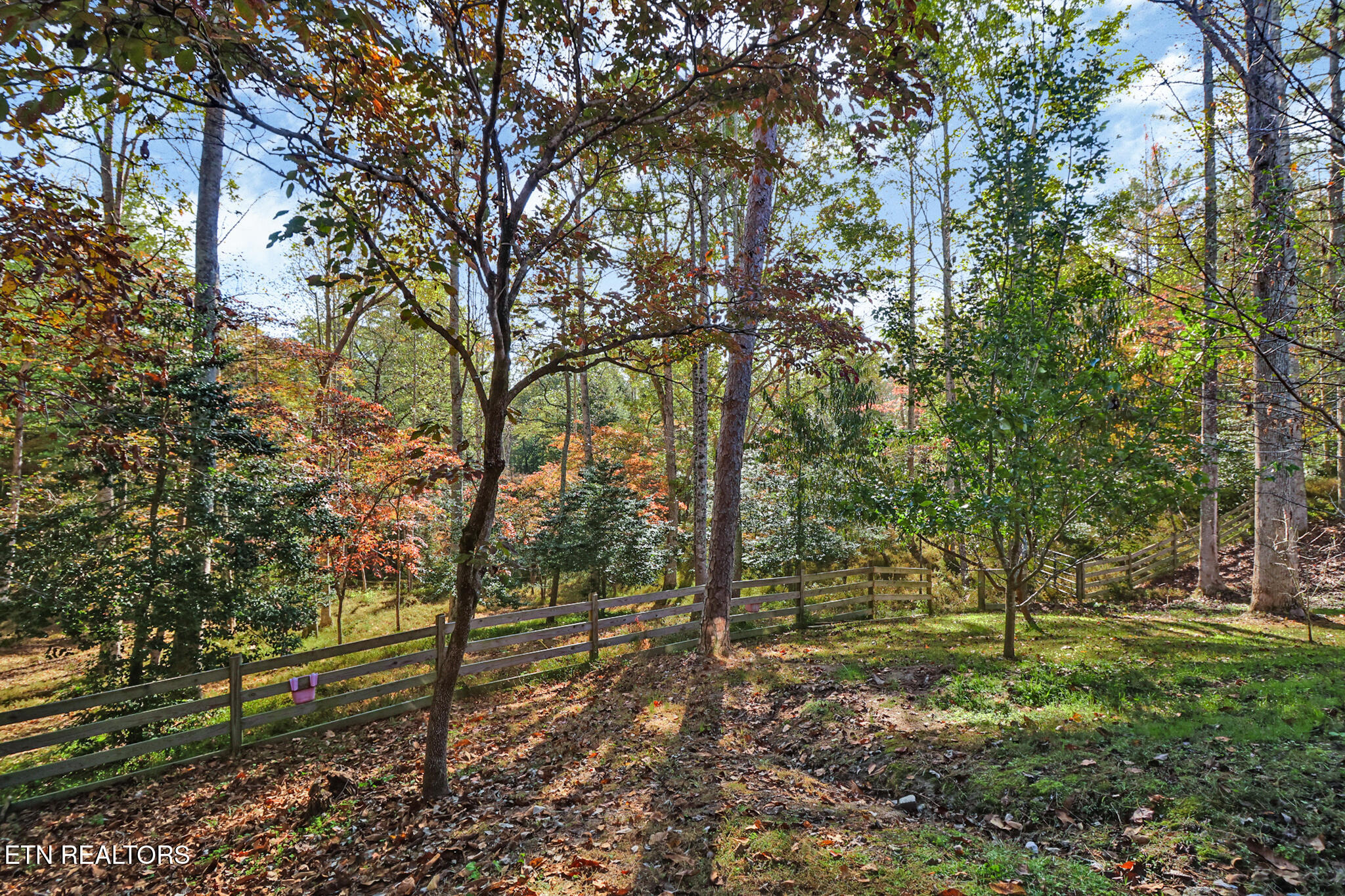 698 Boone Ridge Road Jamestown, TN 38556 - Photo 56 of 56 if1a3735-if1a3739