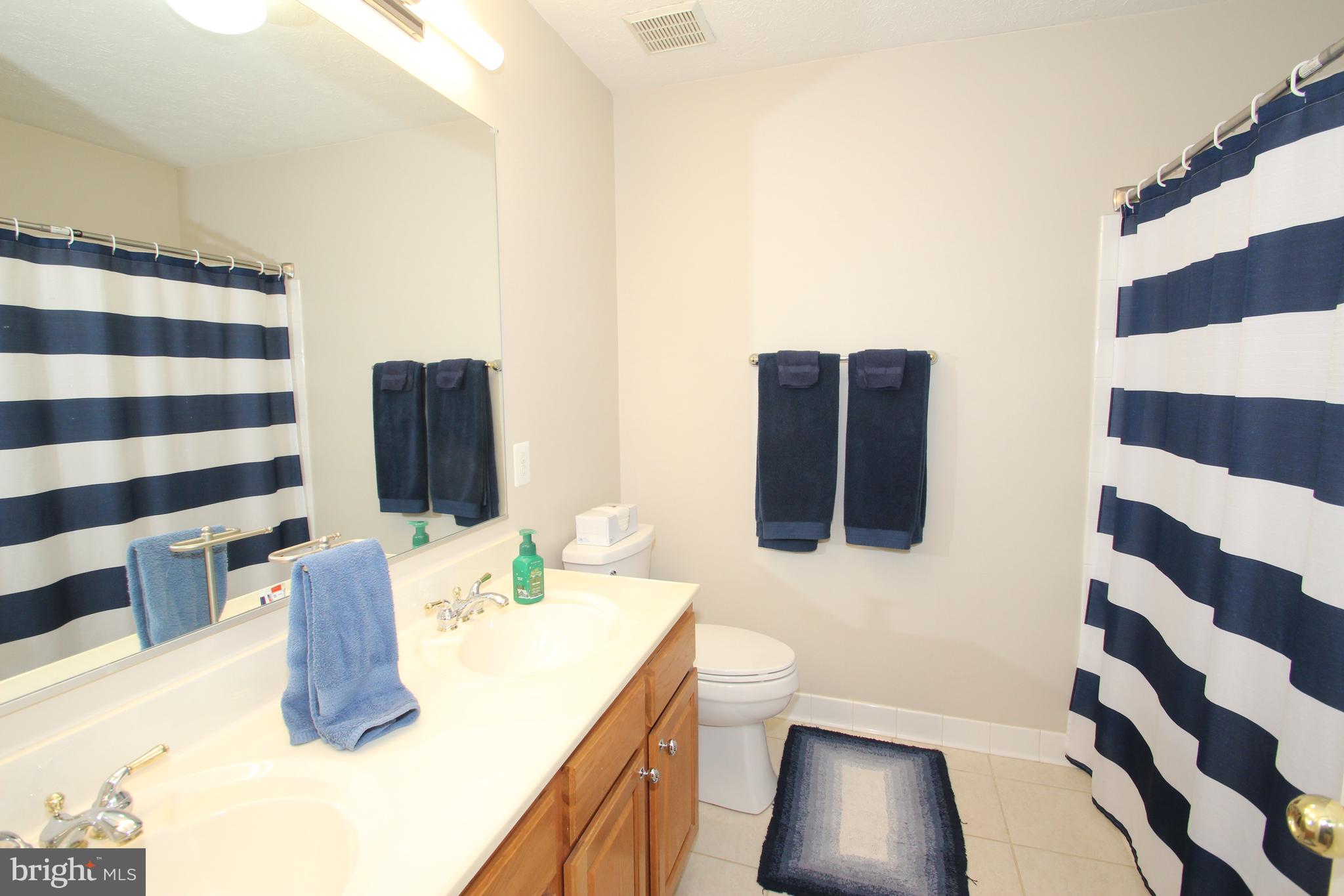102 Patton Way Elkton, MD 21921 - Photo 20 of 27 a bathroom with a sink a toilet and shower