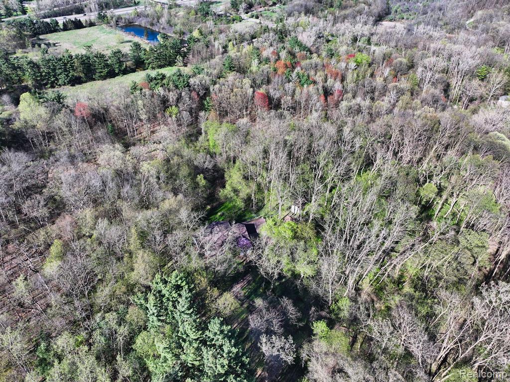 5920 Pleasant Valley Road Brighton, MI 48116 - Photo 10 of 40