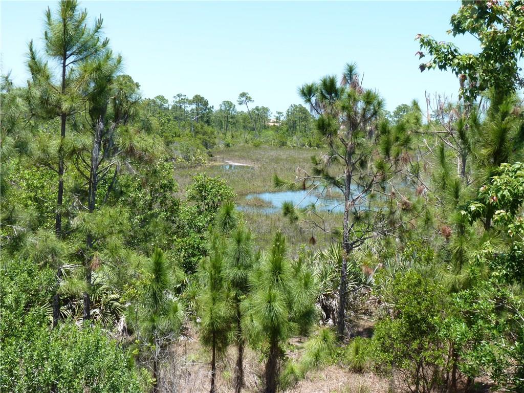 5298 Southeast Mitchell Lane Stuart, FL 34997 - Photo 30 of 33 a view of a lush green forest with lots of trees