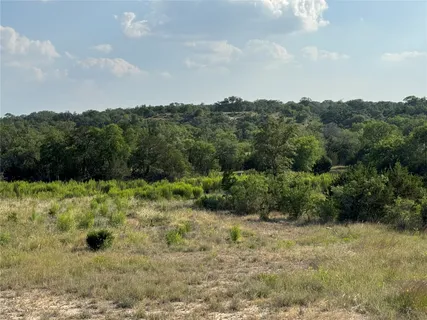 a view of a yard with a large trees