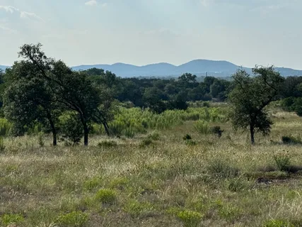a view of a mountain in the distance in a field
