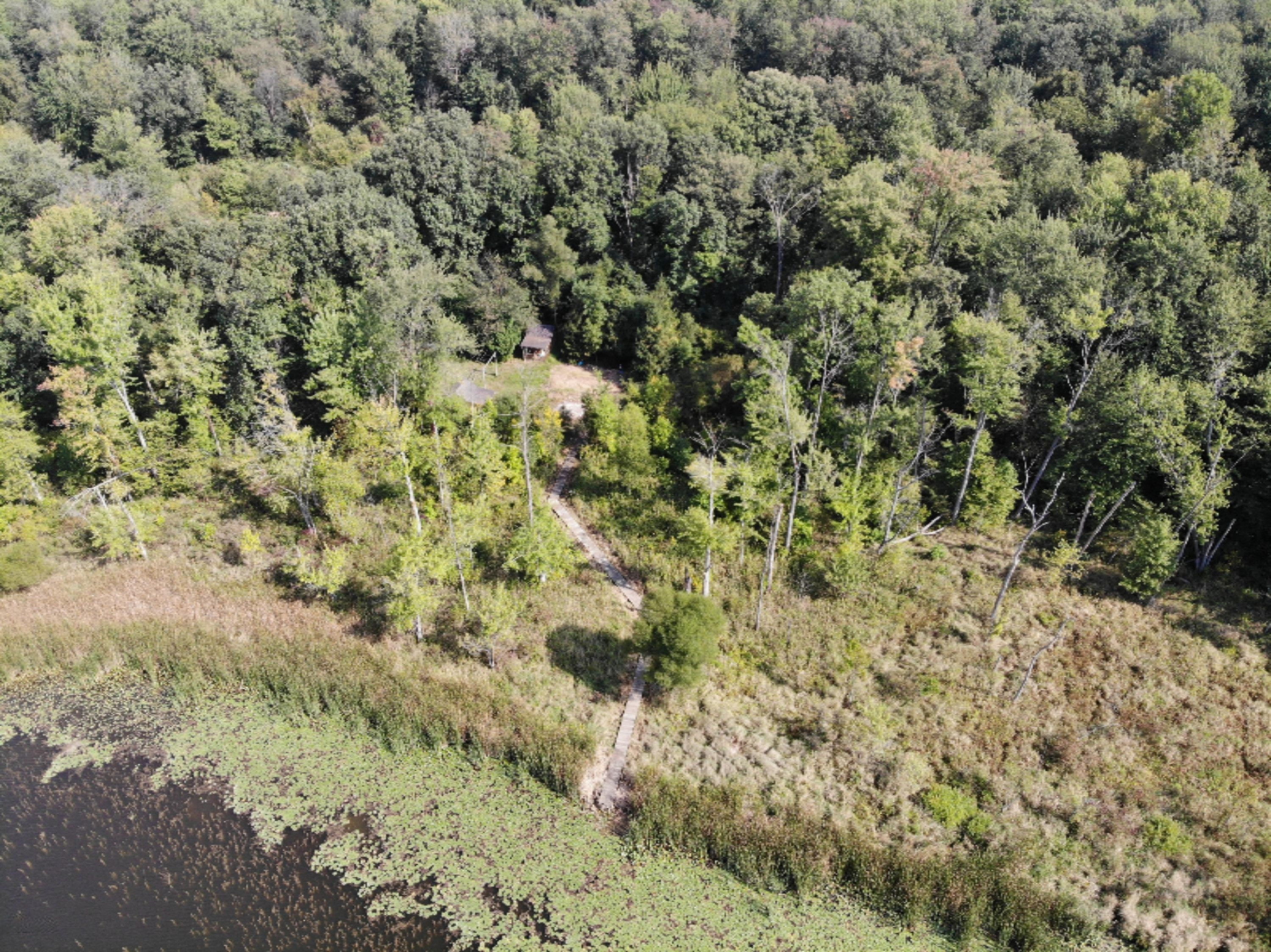 Brown Road Montgomery, MI 49255 - Photo 4 of 30 DJI_0072