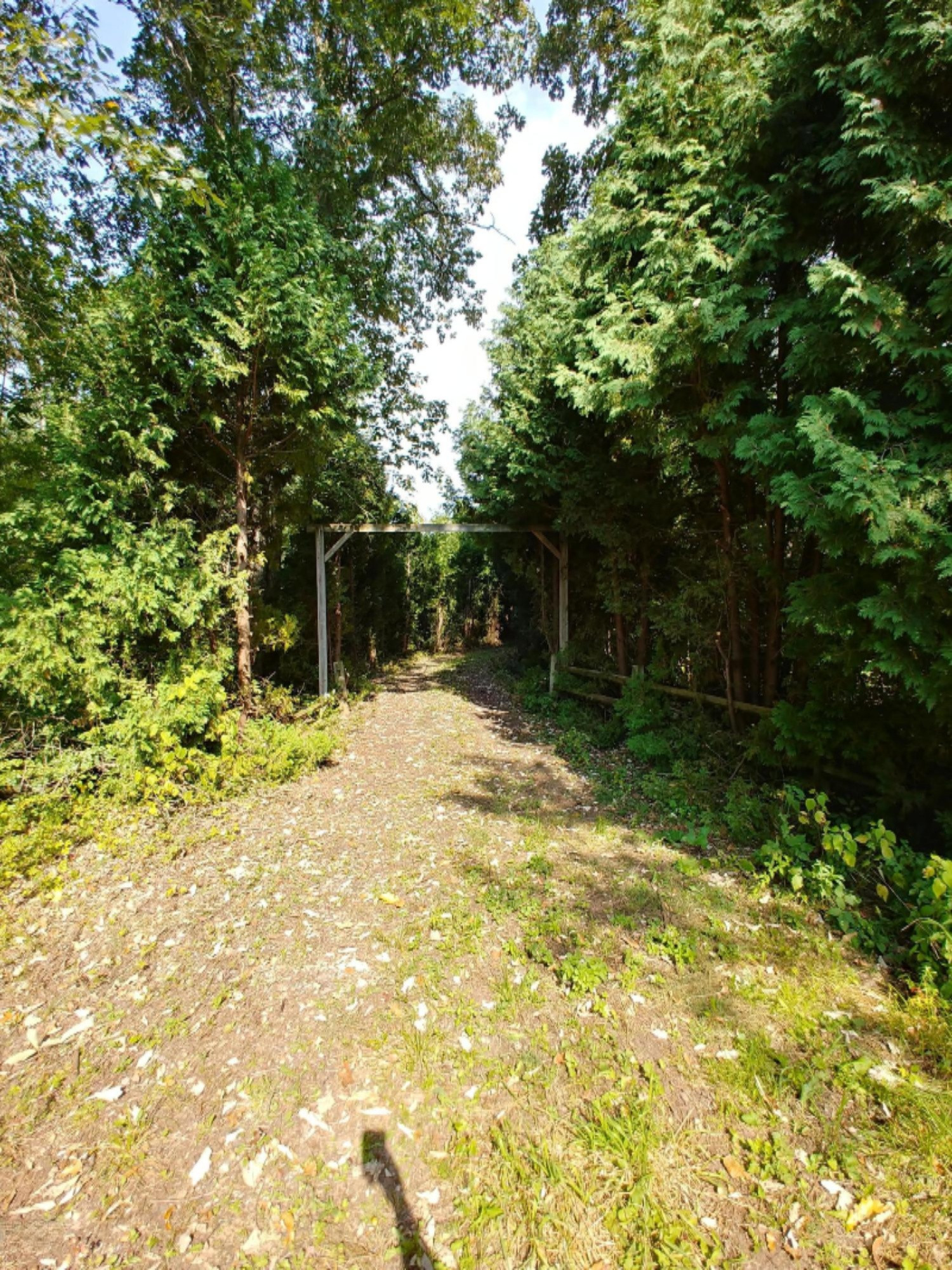 Brown Road Montgomery, MI 49255 - Photo 7 of 30 0920181155_HDR