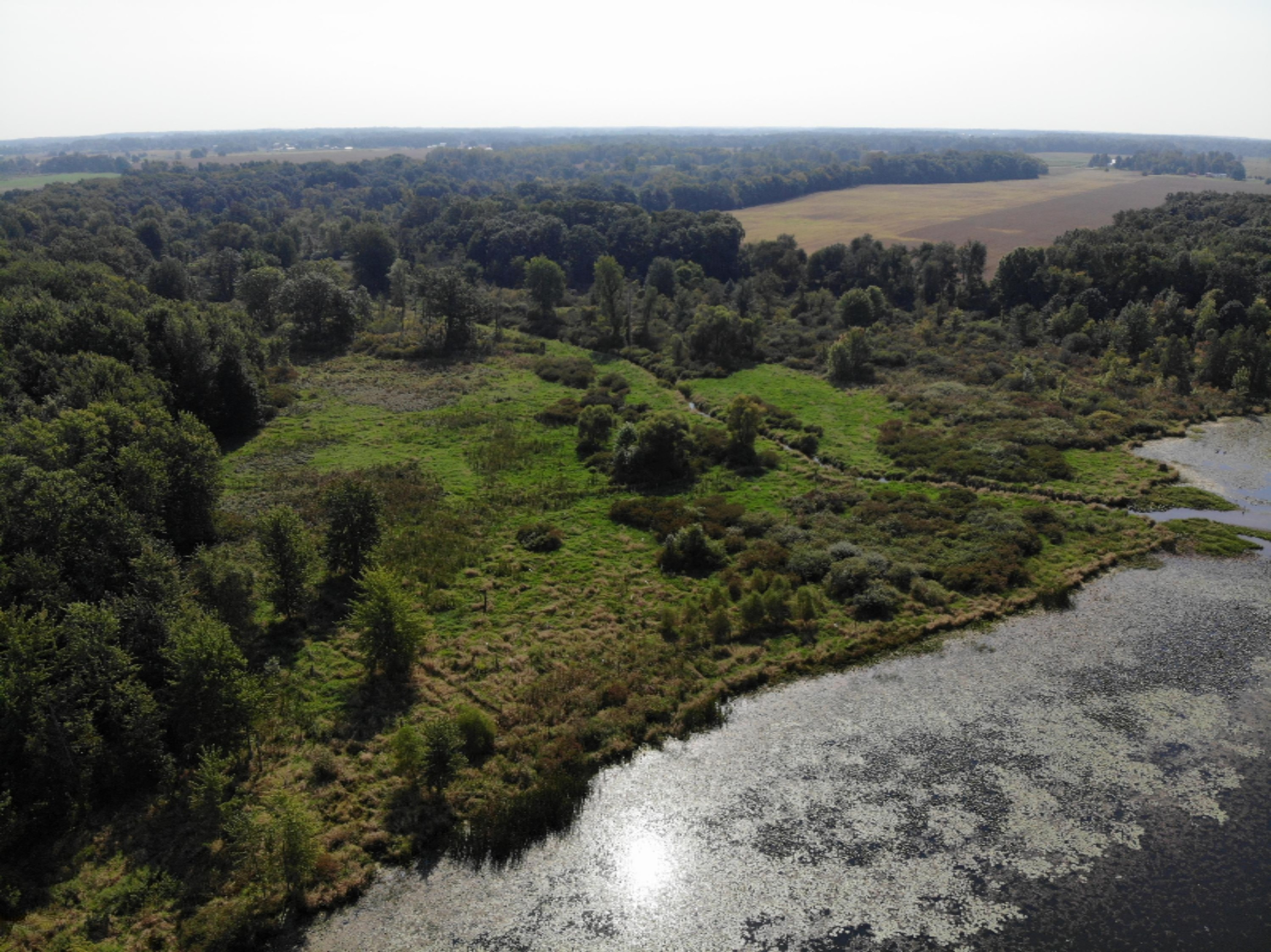 Brown Road Montgomery, MI 49255 - Photo 8 of 30 DJI_0073