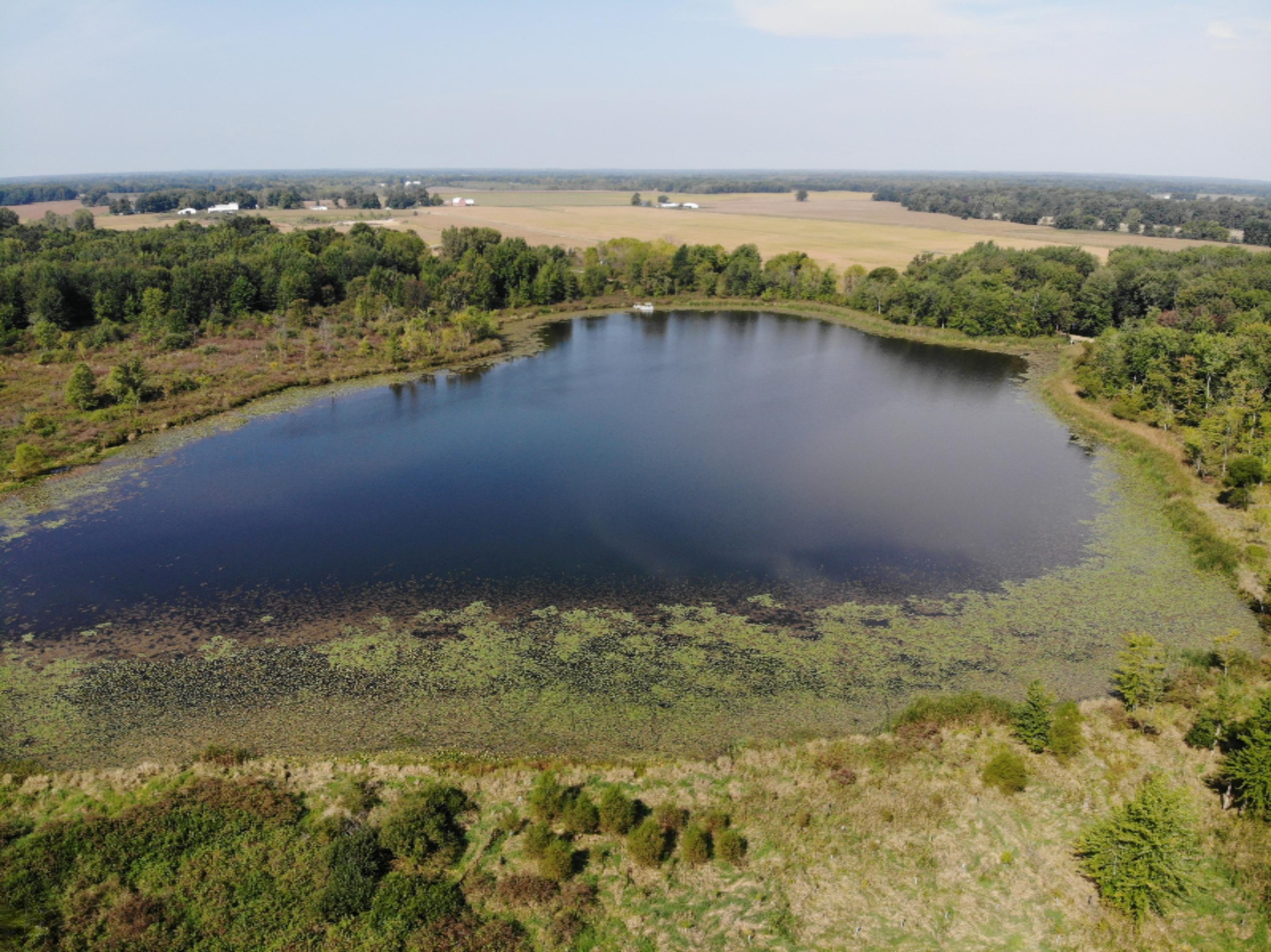 Brown Road Montgomery, MI 49255 - Photo 10 of 30 DJI_0075