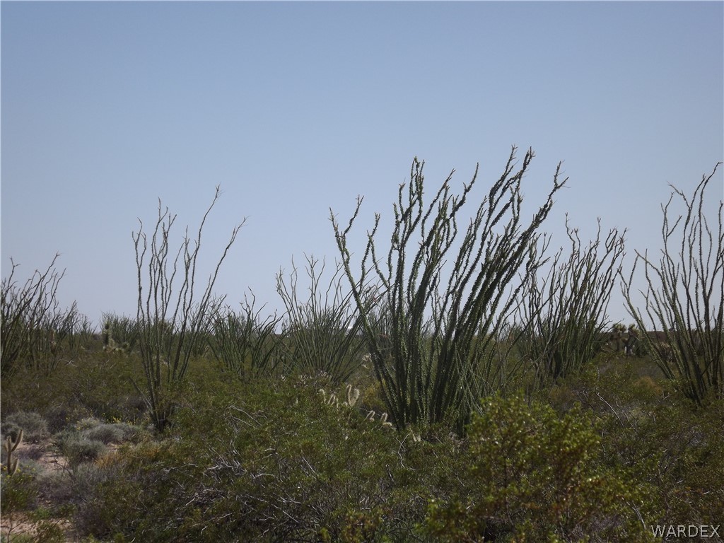 3048 South Castle Butte Road Yucca, AZ 86438 - Photo 3 of 8