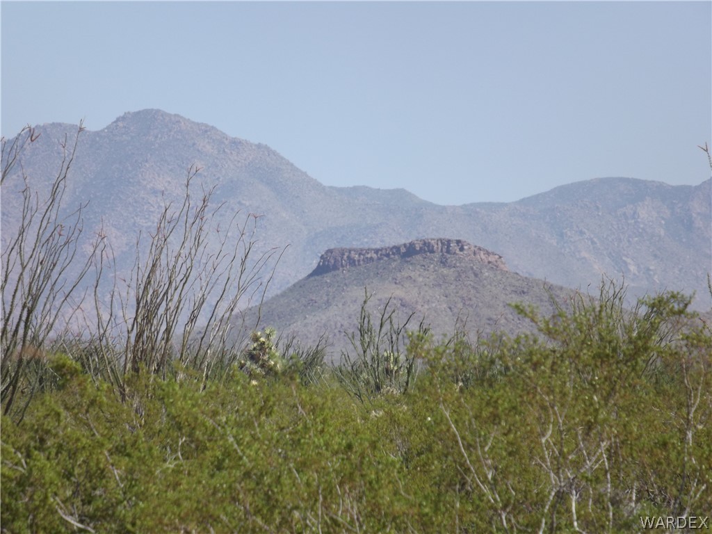 3048 South Castle Butte Road Yucca, AZ 86438 - Photo 7 of 8