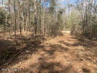 Turkey Creek Road Natchez, MS 39120 - Photo 11 of 24 IMG_3661