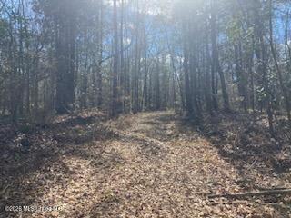 Turkey Creek Road Natchez, MS 39120 - Photo 12 of 24 IMG_3660