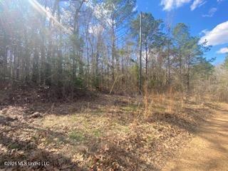 Turkey Creek Road Natchez, MS 39120 - Photo 13 of 24 IMG_3659