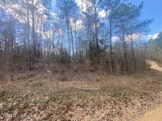 Turkey Creek Road Natchez, MS 39120 - Photo 14 of 24 IMG_3658