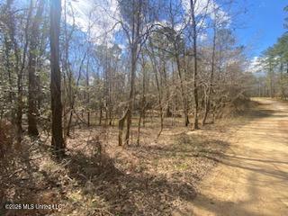 Turkey Creek Road Natchez, MS 39120 - Photo 15 of 24 IMG_3657