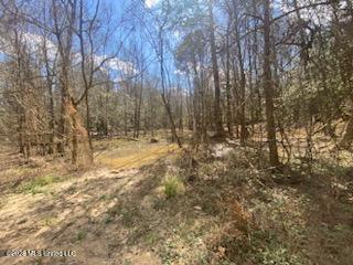 Turkey Creek Road Natchez, MS 39120 - Photo 16 of 24 IMG_3656