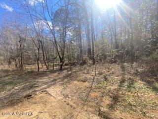Turkey Creek Road Natchez, MS 39120 - Photo 17 of 24 IMG_3655