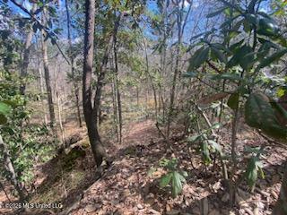 Turkey Creek Road Natchez, MS 39120 - Photo 18 of 24 IMG_3654