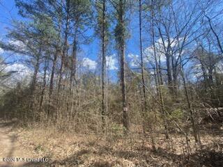 Turkey Creek Road Natchez, MS 39120 - Photo 19 of 24 IMG_3646