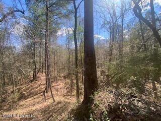 Turkey Creek Road Natchez, MS 39120 - Photo 20 of 24 IMG_3647