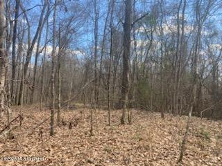 Turkey Creek Road Natchez, MS 39120 - Photo 2 of 24 IMG_3673