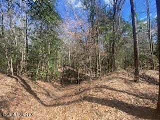 Turkey Creek Road Natchez, MS 39120 - Photo 21 of 24 IMG_3648