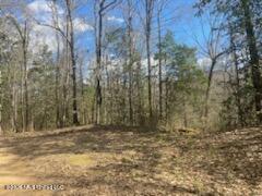 Turkey Creek Road Natchez, MS 39120 - Photo 24 of 24 IMG_3651