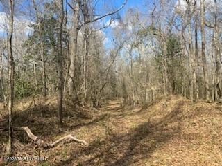 Turkey Creek Road Natchez, MS 39120 - Photo 5 of 24 IMG_3670