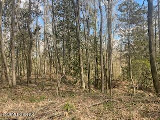 Turkey Creek Road Natchez, MS 39120 - Photo 7 of 24 IMG_3667