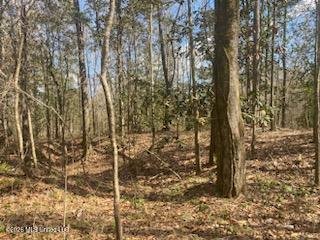 Turkey Creek Road Natchez, MS 39120 - Photo 8 of 24 IMG_3665