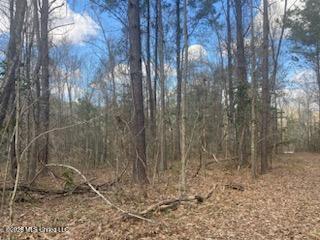 Turkey Creek Road Natchez, MS 39120 - Photo 9 of 24 IMG_3663