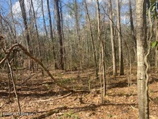 Turkey Creek Road Natchez, MS 39120 - Photo 10 of 24 IMG_3662