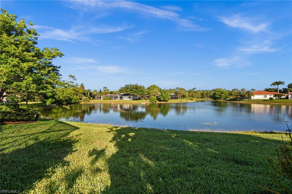 3972 Ruxton Road Naples, FL 34116 - Photo 37 of 41 a view of a lake with houses in the back